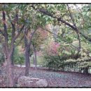 다산행정사사무소 이미지