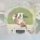 민지축산 이미지