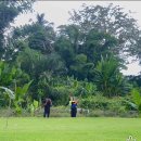 태국골프 그린월드 소식지 이미지