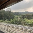 (집)씨유ktx광명점(오영지) | J인척 1박 2일 전주 여행