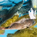 성호 민박 이미지