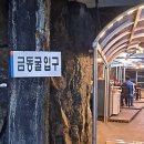 금동백숙 이미지