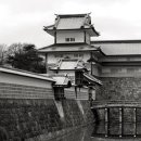 현재의 현 이미지