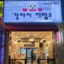 강아지 이발소 이미지