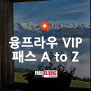 (주)엘리시온인터네트워크 | 스위스 액티비티 꿀템 총정리: 융프라우 VIP패스 A to Z