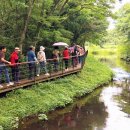 에코랜드 이미지