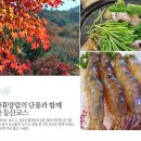 백운쉼터가든 이미지