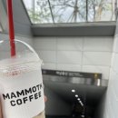 매머드익스프레스미사현대