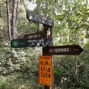 입화산참살이숲 이미지