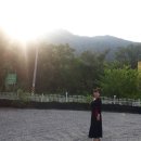 팔봉산로 Daum카페