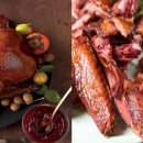 도그소사이어티 이미지