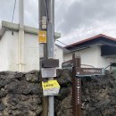 노리민박 | 제주 조천읍 여성 전용 별채 민박, 노리민박 하귤방