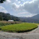 공주구계리싼계획관리토지(3,930㎡ 1,189평)매가2억8백만원 이미지