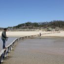 무섬마을 이미지