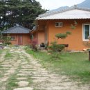 섬진다원 이미지