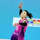 김연경 카카오 검색결과