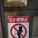 아키노유키