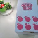 이배농장 | 오차드 옐로우 배케이크 후기｜팝업에서 만난 두바이 배쫀득쿠키🧆