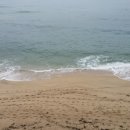 봉포파도소리펜션 네이버블로그