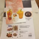 셀럽시티 이미지