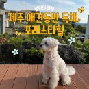 제주포레스타힐