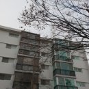 후평 주공6차 네이버블로그