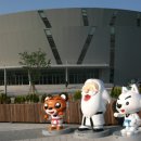 성지태권도 이미지