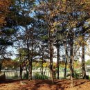 은빛2단지경로당 이미지