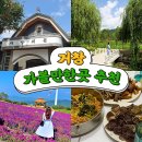 [거창/놀거리] 거창 가볼 만한 곳 추천 : 전통시장, 창포원, 근대의료박물관, 감악산