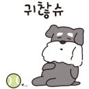 동이애견 이미지