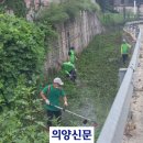 연동천 이미지