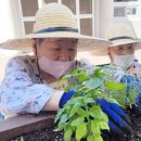 원예문화진흥원(주) 이미지