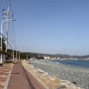 세븐일레븐 울산주전해변점 이미지