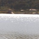 미현리 부운재 이미지