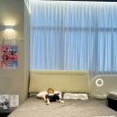 비아중앙로 | 애기침대/패밀리침대 추천 : 엘라비아제롬 내돈내산 패밀리침대 재구매 후기