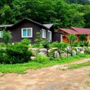 돌배나무 민박 이미지