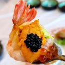 바다마차 이미지