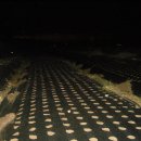 상미농장 이미지