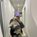 용전4로3길 이미지