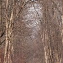 미류네 농장 이미지