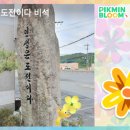 다이소굴화점