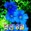 ＜06,18.주일오후예배설교＞ 하나님의 일을 나타내는 사람 이미지