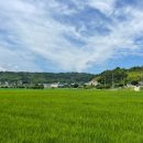 비기넨드 이미지