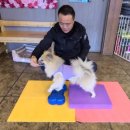 아껴줄개 네이버블로그