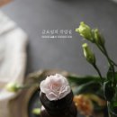 너란플라워
