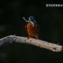 선린빌딩 | 동작구 요양원 찾는다면 한국선린방문요양파견센터 전문가의 따뜻한 돌봄