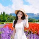 쿠준