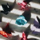 종이접기지도사 초급 자격증 | 종이접기 자격증 합격률, 시험일정, 종류 정리