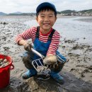 보성 예당 체험휴양마을 | [8월 고창 여행] 아이들과 다 함께 조개 잡기! 세계유산 고창 갯벌체험장 &amp; 선운사 도솔천 계곡 피서...