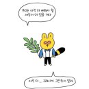 베로치